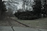 Looking west at the Lincoln Ave. crossing.